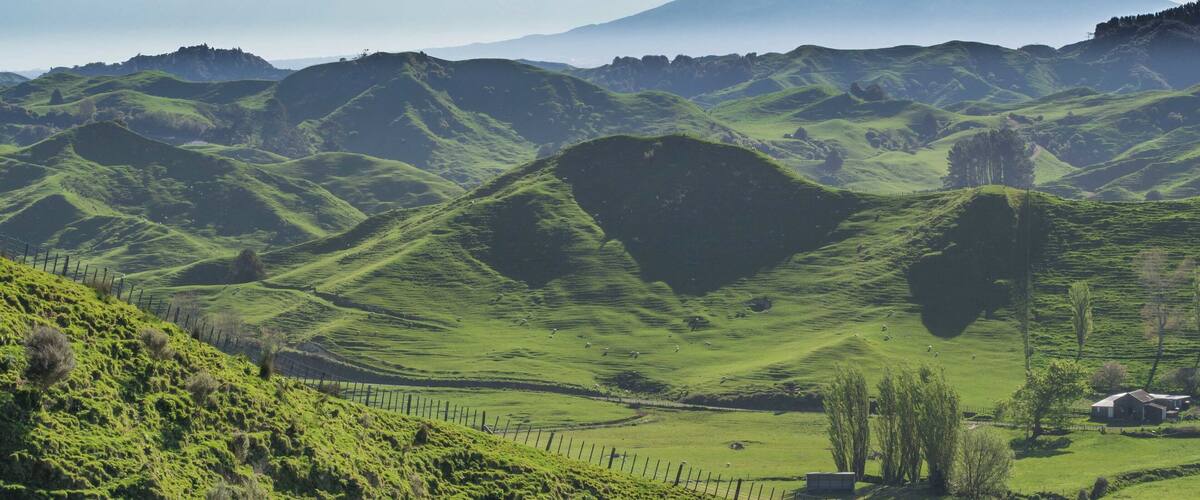 Rolling green hills, a distant mountain, and a small house.
