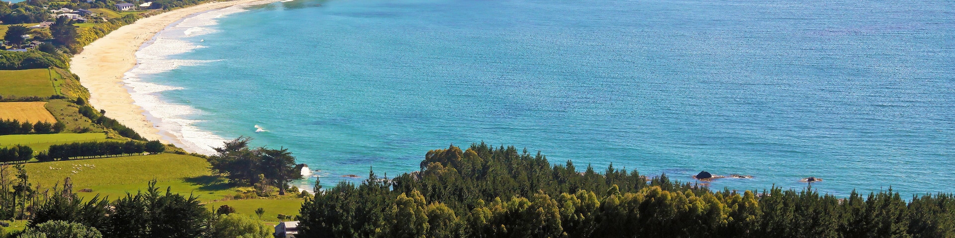 Beautiful scenic coastal coast rural landscape of peninsula with green meadow, forest, grazing sheep, white sand beach - Karitane, New Zealand