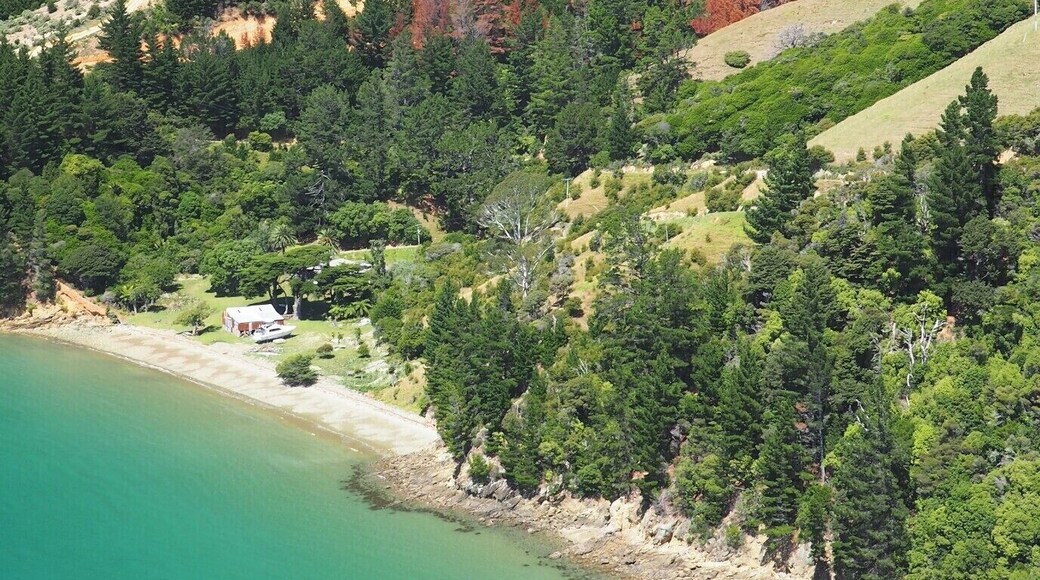 The Marlborough Sounds on a warm, sunny day - it's impossible to drive for more that ten minutes without jumping out of the car for yet another photograph. This was taken on the windy, gravel road to Tennyson Inlet.