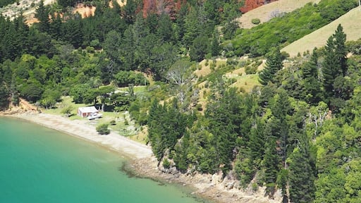 The Marlborough Sounds on a warm, sunny day - it's impossible to drive for more that ten minutes without jumping out of the car for yet another photograph. This was taken on the windy, gravel road to Tennyson Inlet.