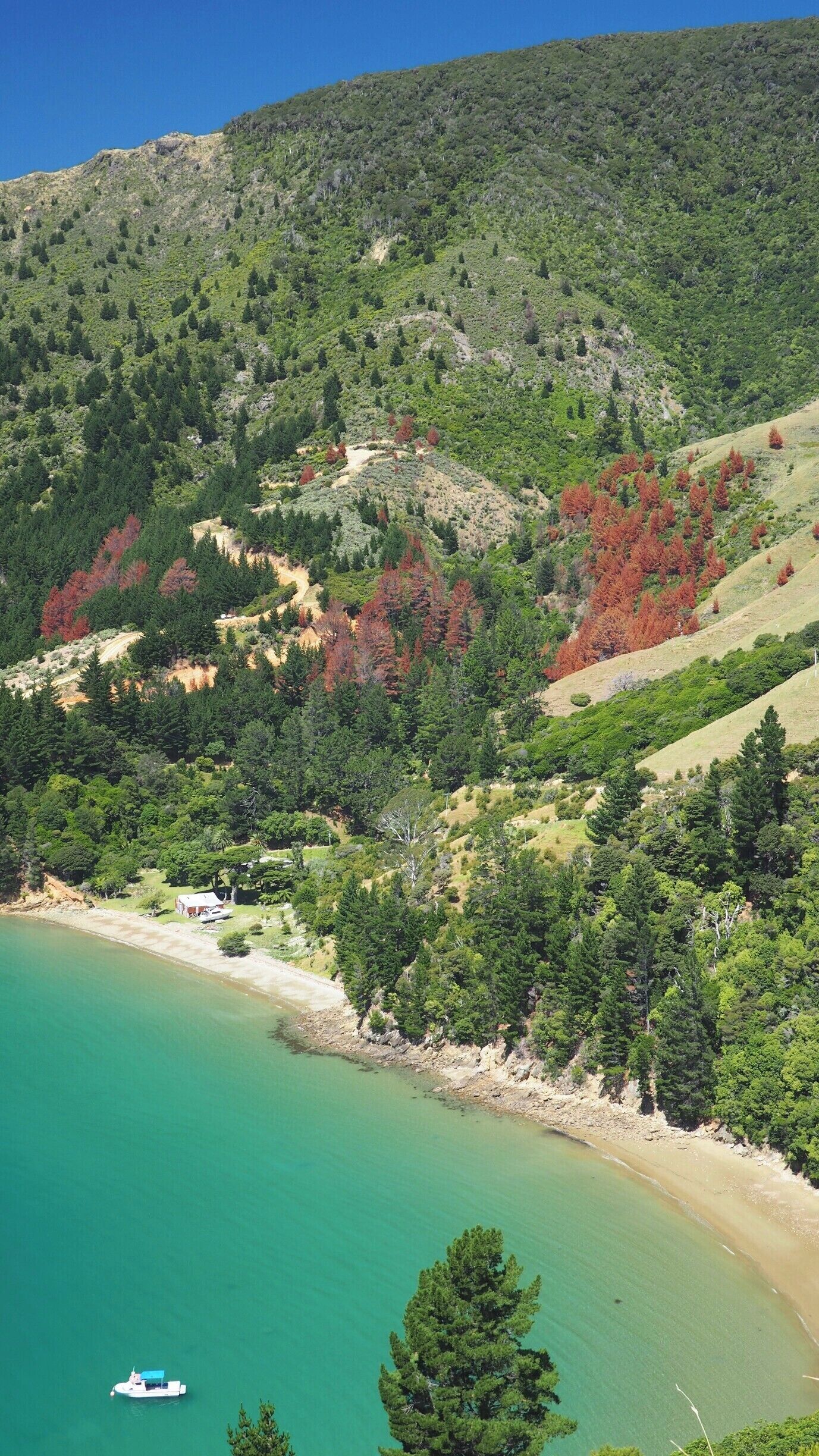 A coastal landscape with a clear turquoise sea, a small boat, dense green forest, and a hilly terrain with some red foliage.