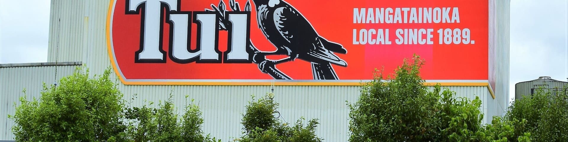 Tui Brewery nice place to stop off for a drink and a meal. Service can be a bit of a hit or miss but still worth the visit.