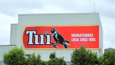 Tui Brewery nice place to stop off for a drink and a meal. Service can be a bit of a hit or miss but still worth the visit.