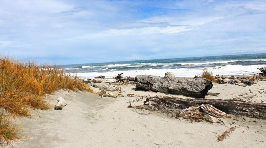 The beautiful beach along HW 6 is a perfect stop to break up the road trip and do some wild dolphin spotting. #waterlust