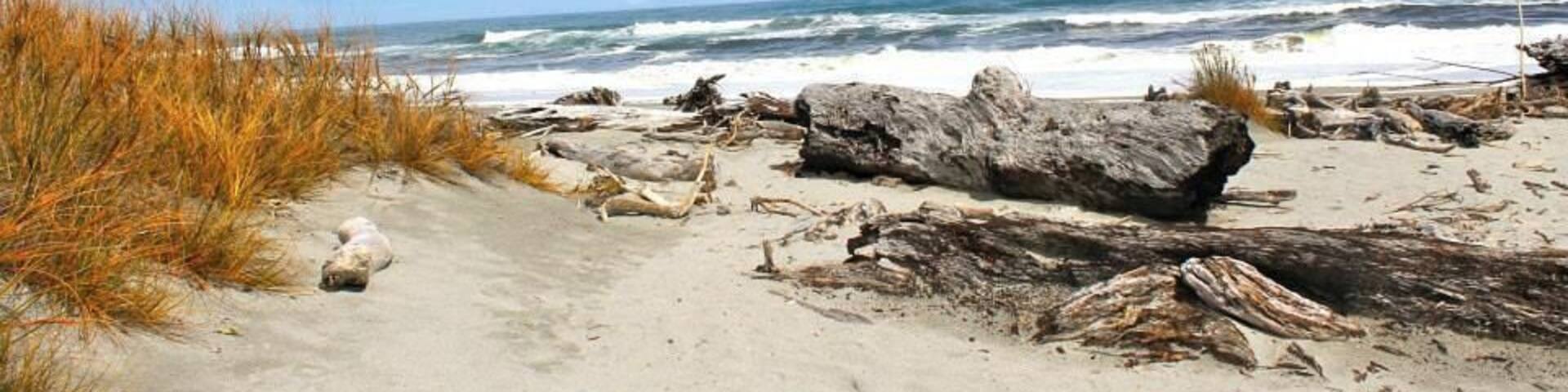 The beautiful beach along HW 6 is a perfect stop to break up the road trip and do some wild dolphin spotting. #waterlust