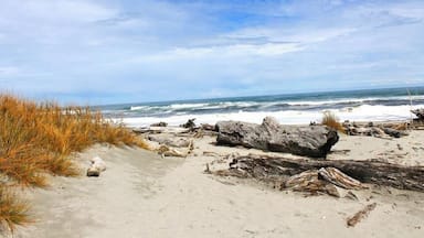 The beautiful beach along HW 6 is a perfect stop to break up the road trip and do some wild dolphin spotting. #waterlust