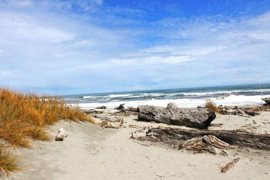 The beautiful beach along HW 6 is a perfect stop to break up the road trip and do some wild dolphin spotting. #waterlust