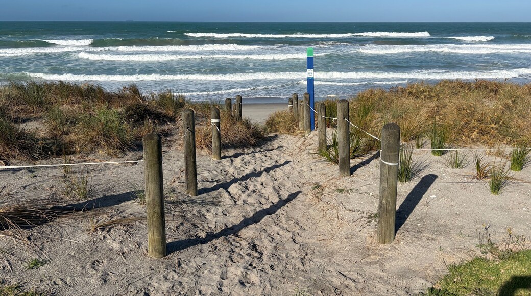 White sand beach - Pukehina in New Zealand