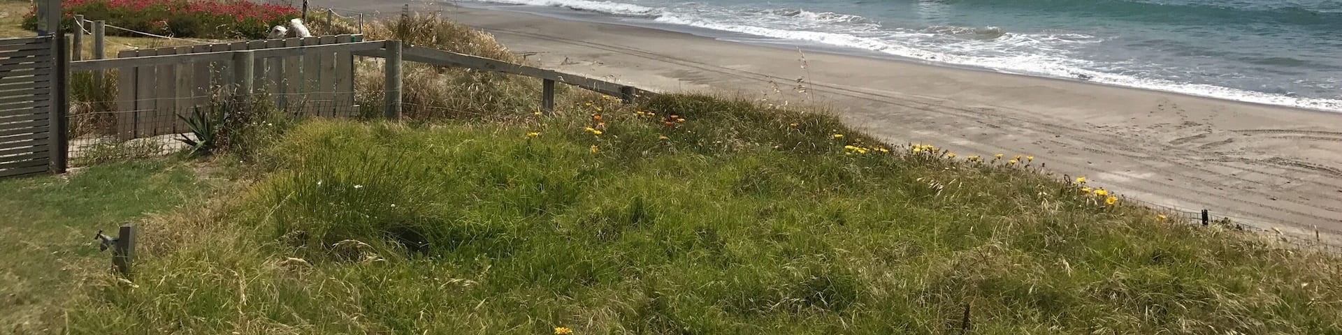 Start of the NZ summer, wish I was there for longer this time