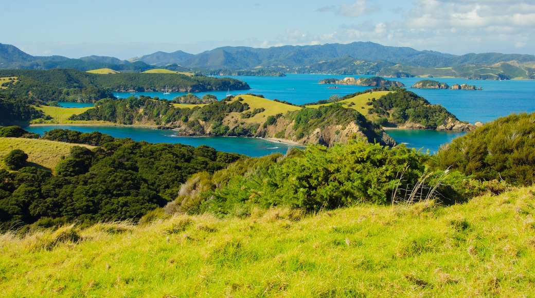 View of the ocean shore at the east side of Northland, North Island, New Zealand; Shutterstock ID 220309522; purchase_order: -; Order: -; client: -; job: -