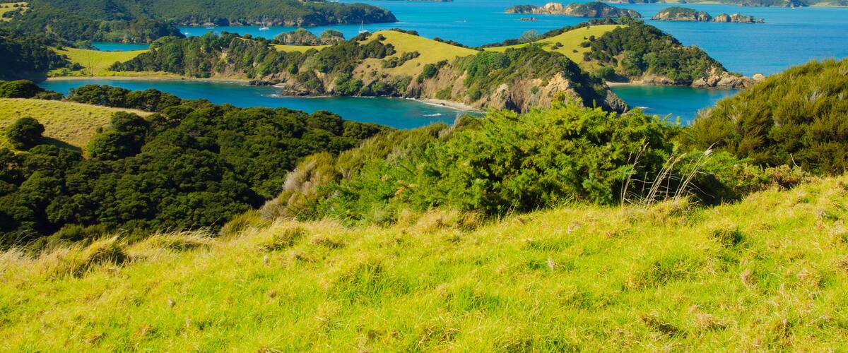 A coastal landscape with rolling hills, a bay with turquoise waters, and distant mountains under a clear sky.