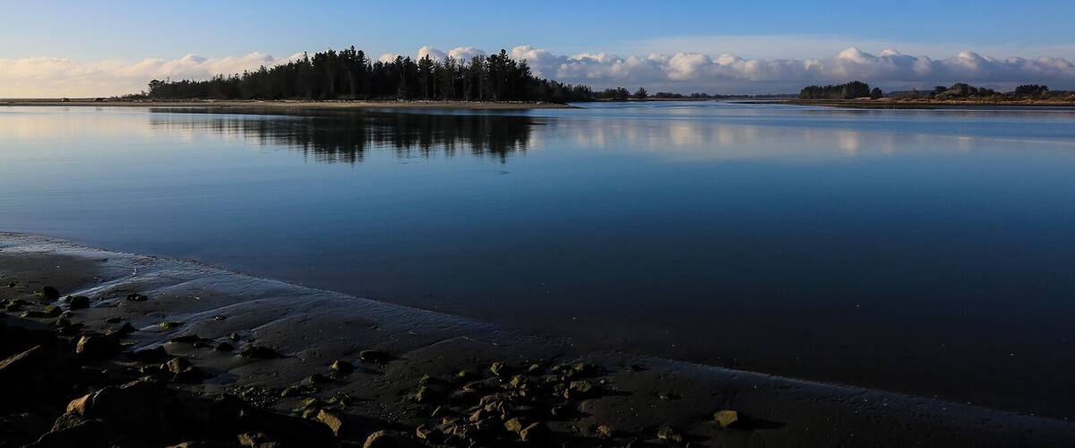 A calm lake with a forested island and a clear sky.
