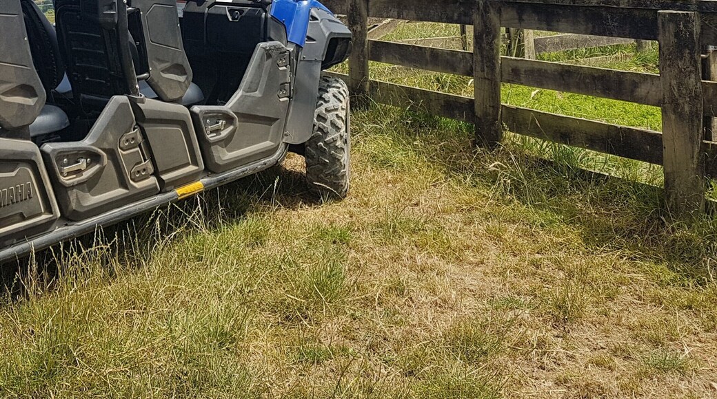 farm tours with Real New Zealand Adventures