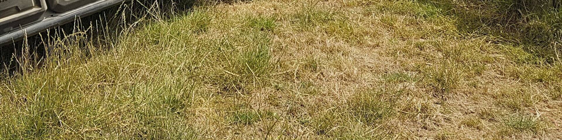 farm tours with Real New Zealand Adventures