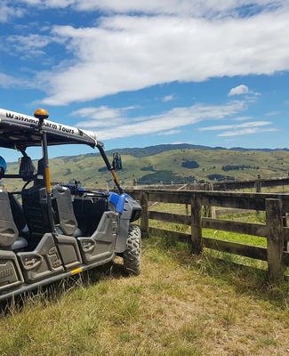 farm tours with Real New Zealand Adventures
