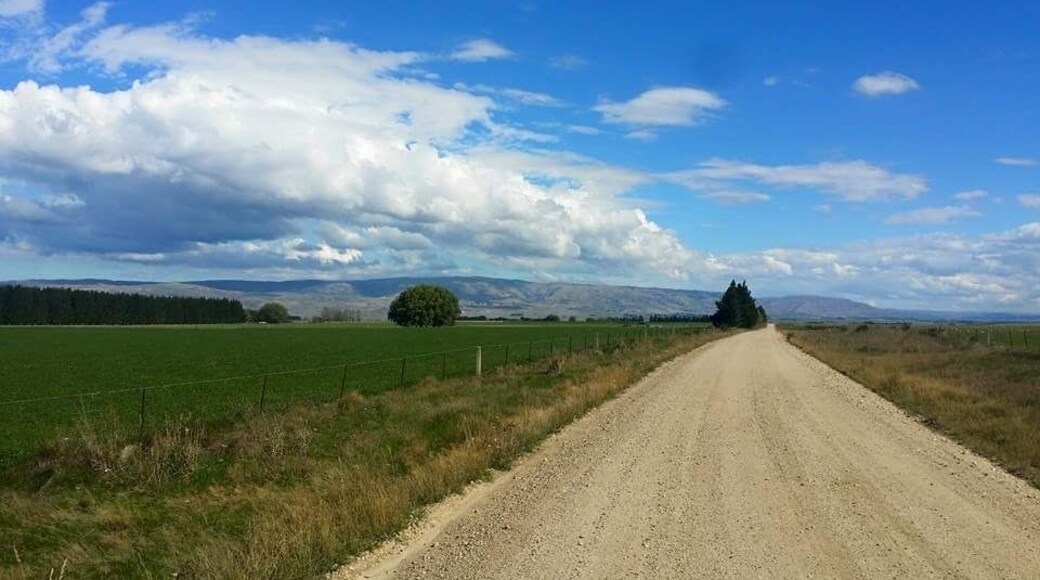 Along the road in Kyeburn New Zealand. #lifeatexpedia