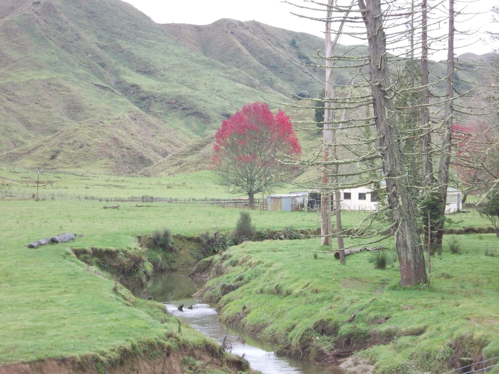 Just because I liked the red!  