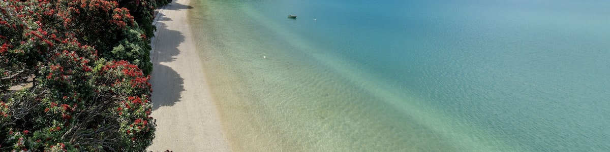 Aerial: Calm beach and coastline with pohutukawa trees. Wyuna Bay, Coromandel, Coromandel Peninsula, New Zealand.