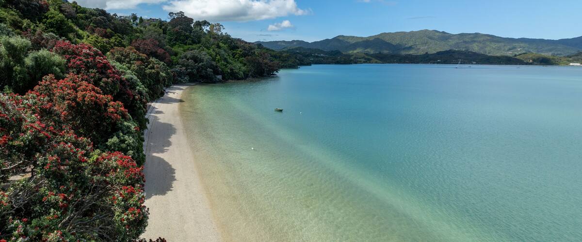 A beach with clear turquoise water, a sandy shore, and lush green hills in the background.