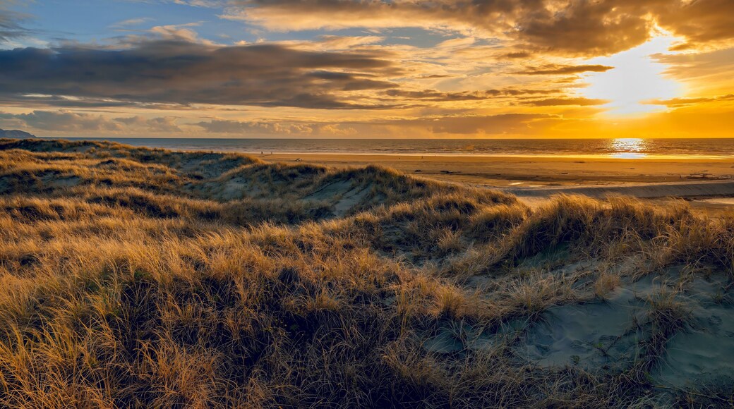 A sunset over a beach with dunes and a cloudy sky.
