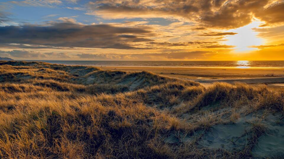sunset over grassy dunes in the foreground of Otaki Beach on the Kapiti Coast of New Zealand