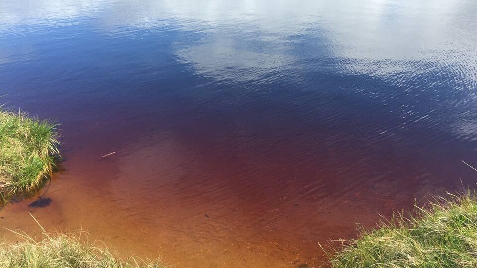 A river with clear water reflecting the sky.