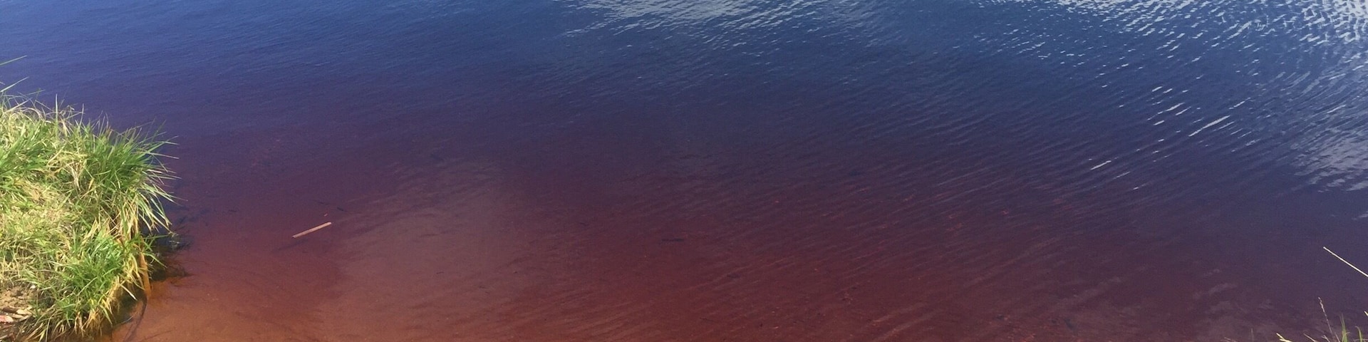Coca Cola lake.
It is pretty cool. From a foot away it looks like an ordinary blue lake. But when you go closer, it changes to look like a rainbow. But that's not all: it smells and tastes like Coca Cola! Some of the road to it is unsealed though