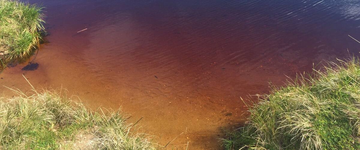 A river with clear water reflecting the sky.
