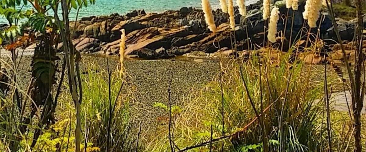 Nice wee secluded bay we came across whilst on our way to the lovely Paraawanui Trek