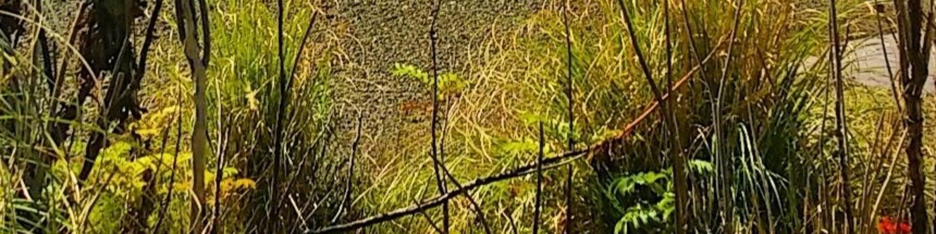 Nice wee secluded bay we came across whilst on our way to the lovely Paraawanui Trek