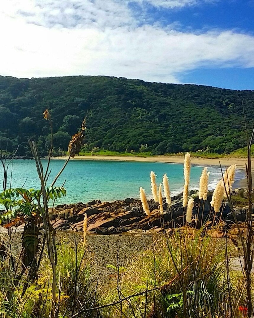 Nice wee secluded bay we came across whilst on our way to the lovely Paraawanui Trek
