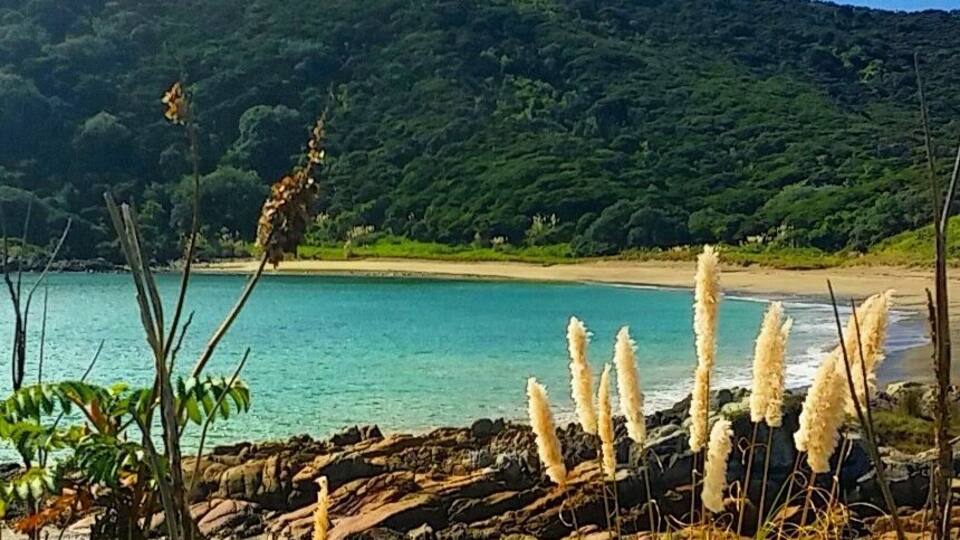 A coastal landscape with a beach, rocky shoreline, and lush greenery in the background.