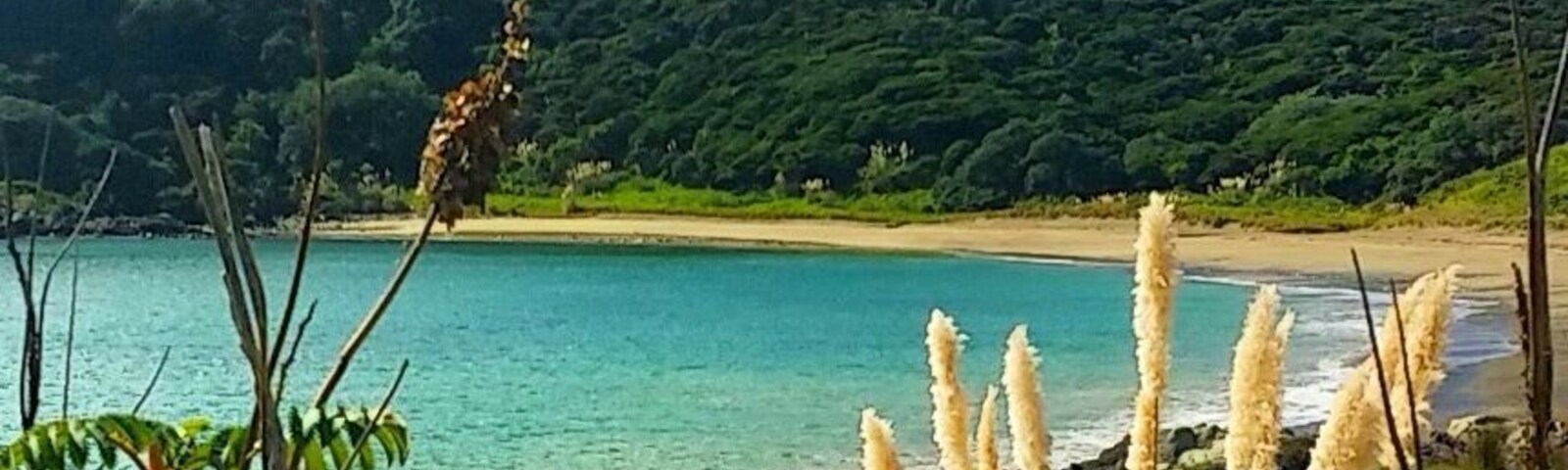 Nice wee secluded bay we came across whilst on our way to the lovely Paraawanui Trek