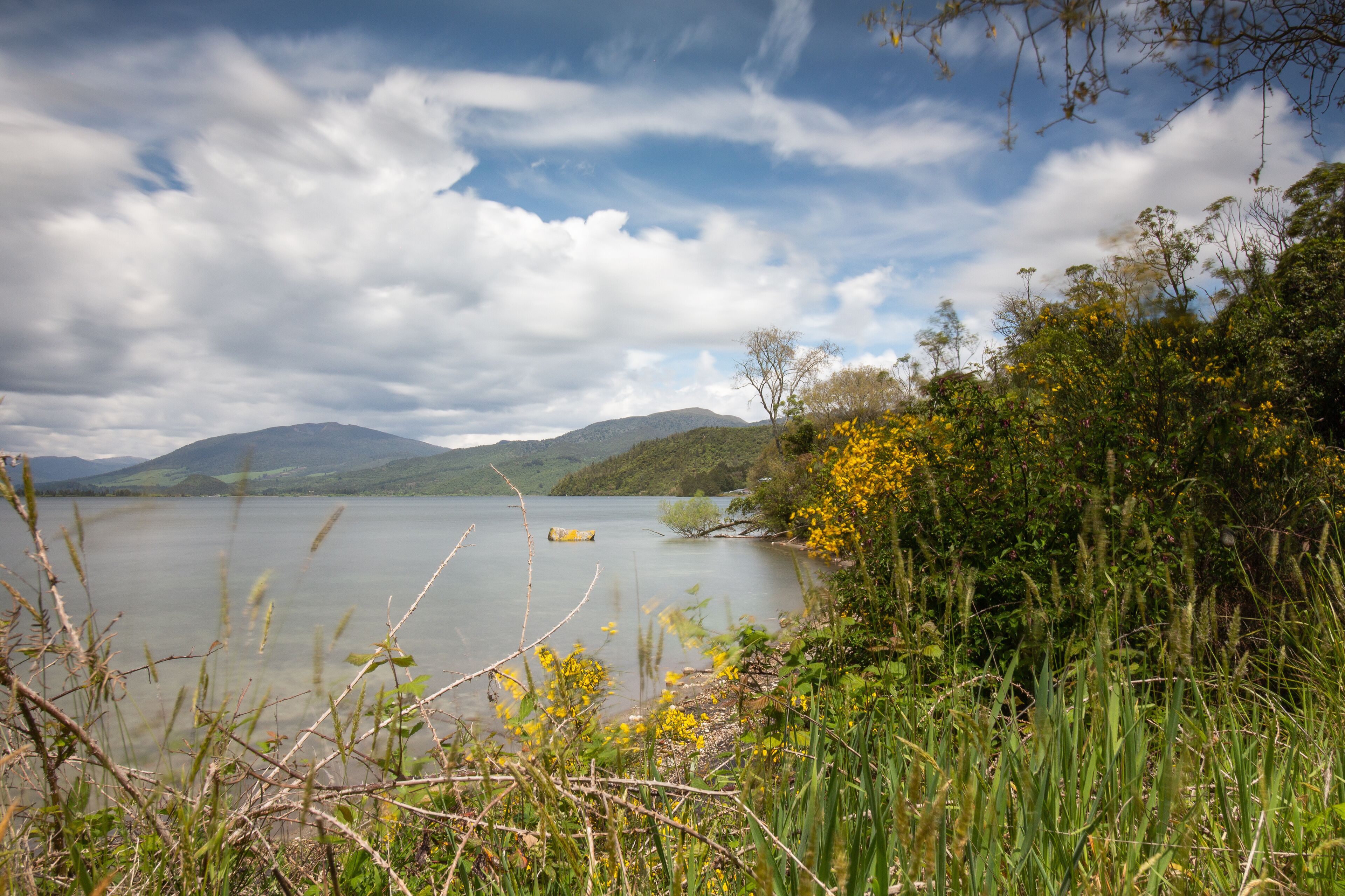 A lake surrounded by mountains and vegetation.