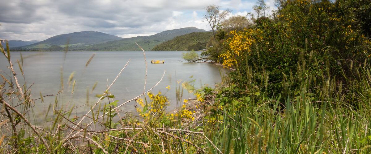 A lake surrounded by mountains and vegetation.