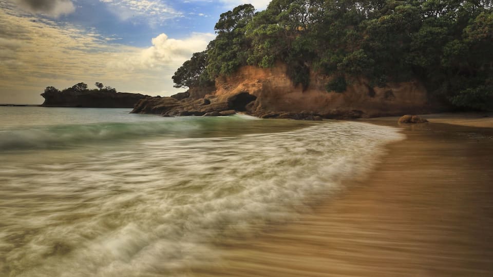 Visiting my brother in Matakana in the New Zealand's North Island I spent a whole day in Tawharanui Regional Park a whole 7 hours exploring beauty. This park and marine reserve is huge with Two beaches and a lagoon 💚. You can camp here or hire a regional Bach if your lucky. It is also a park with native Kiwis , my goal is to camp here on another trip one summer 🙏🏻