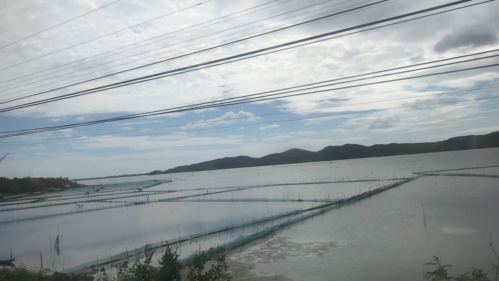 This was no place in Vietnam on a train riding from Hanoi to Ho Chi Minh City. The journey takes 30 hours and you see the beauty of Vietnam, meet some nice people and also have the solitude that a long train ride grants. Thinking back on that trip today took me to this picture.