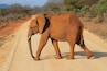 Shimba Hills National Reserve (Naturschutzgebiet)