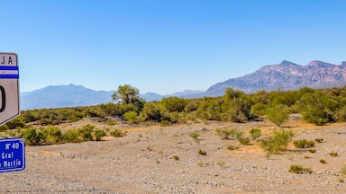Arid Andean Landscape, La Rioja, Argentina