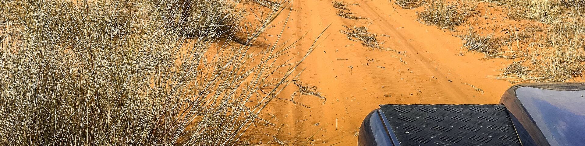 Driving through the vast wilderness of the Kalahari desert is an incredible experience. You feel so small and unimportant, just a guest in Mother Nature’s backyard.
#OnTheRoad #NationalPark #roadtrip