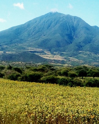 Mount Hanang,
Its a lovely place it took me the entire day hiking up and descending this rocky mountain.
I was looking for a specific species of bird. Its a nice place to be honest.
Mt.Hanang/birding trip/Manyara region/ fmbilinyi@gmail.com/ Tanzania.