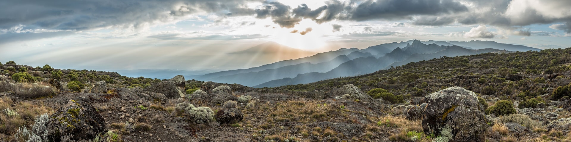 Panoramic view of sunset over Mount Meru in Tanzania taken from the Shira Cave camp on the Machame route of Kilimanjaro. Sunrays burst through the dramatic clouds towards moorland foliage and rocks.