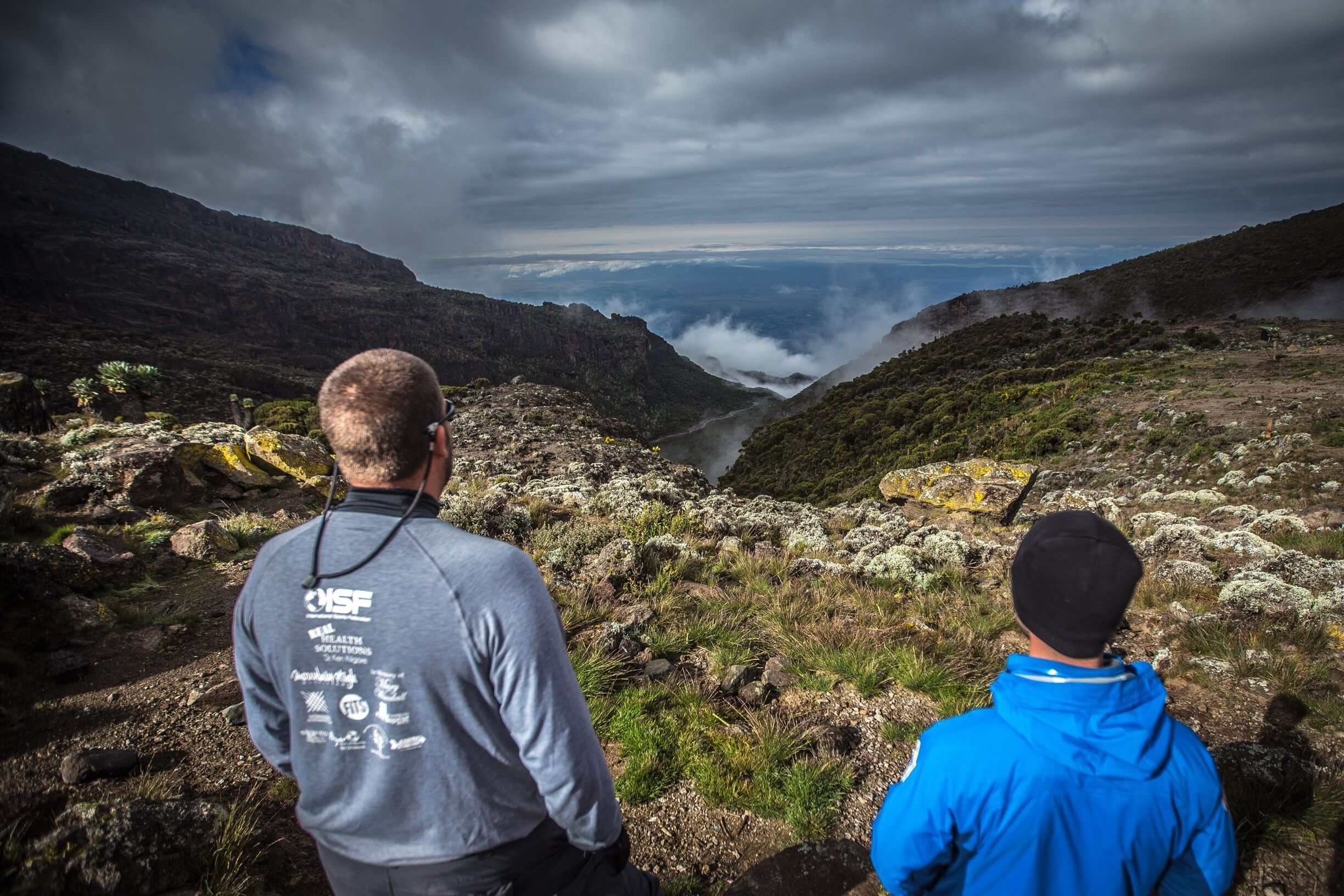 Just below the Barranco wall on Mt Kilimanjaro. 