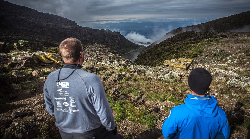 Just below the Barranco wall on Mt Kilimanjaro.