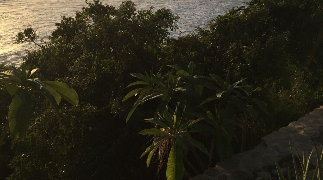 Great dinner, drinks, live music and the best sunset in Nicaragua!