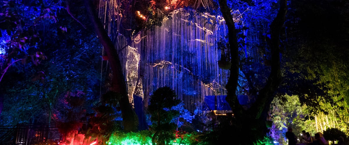 Mystical view of the Avatar Gardens in Penang, Malaysia(illuminated trees), Shutterstock ID 1108648118, Purchase Order: SP-2013, Order Number: SP-2013 MTB Malaysia Tourism Board June-December, Client/