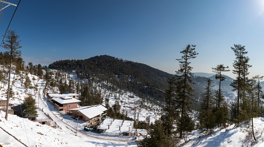 View of snow-dusted buildings nestled amidst towering pine trees, painting a serene winter landscape under a clear sky, Murree, Punjab, Pakistan.