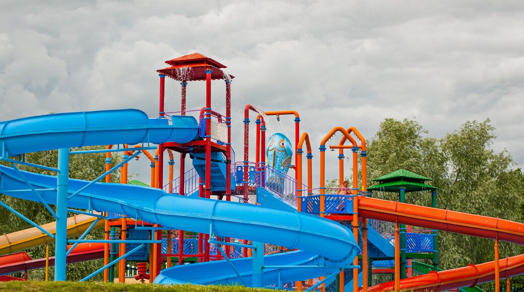 トッセリッラ サマー パーク