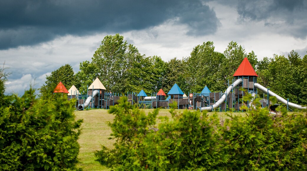 トッセリッラ サマー パーク