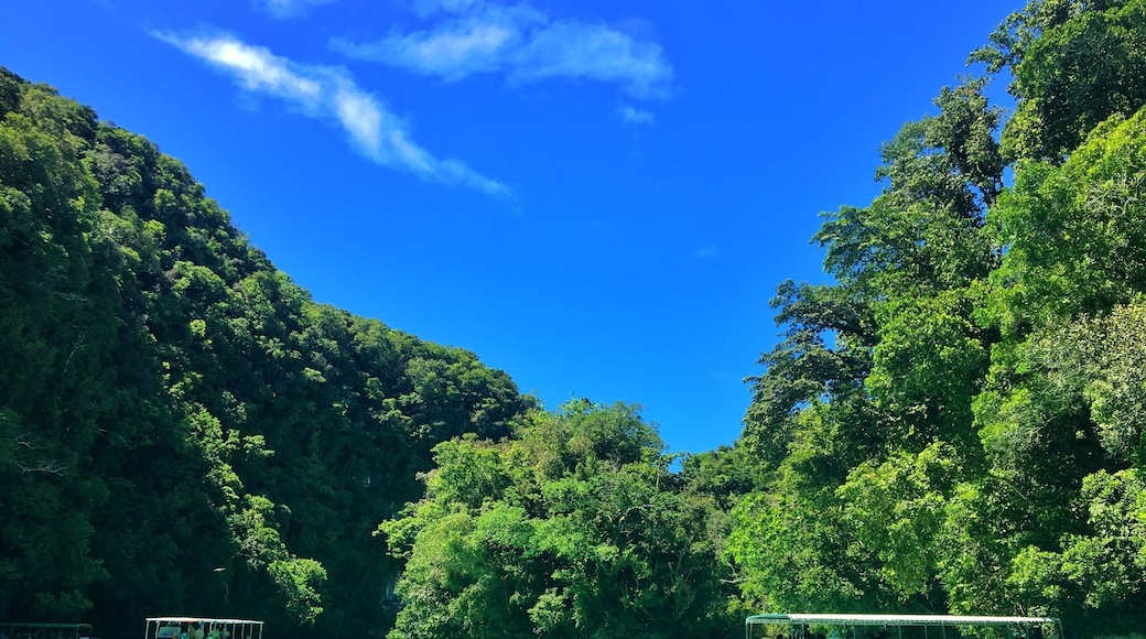 Enjoy the white mud bath with great views.Put it on your face and body, it’s good for beauty!